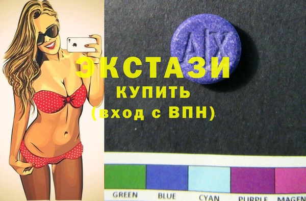индика Алексин