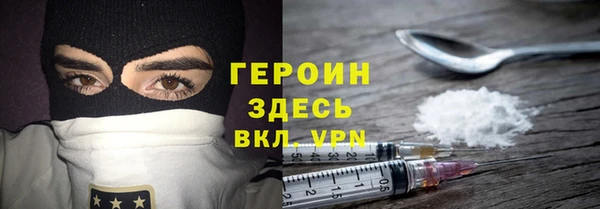 индика Алексин