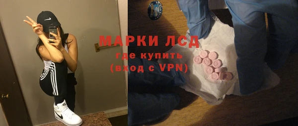 индика Алексин