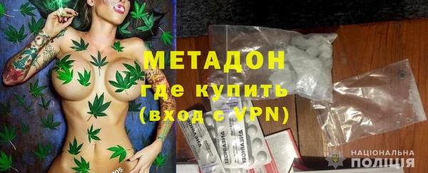 индика Алексин
