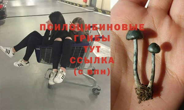 индика Алексин