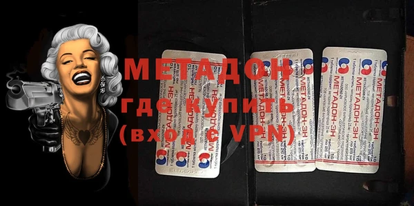 индика Алексин