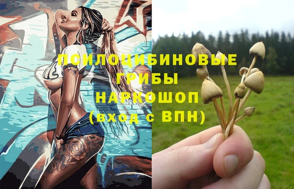 СК Алзамай